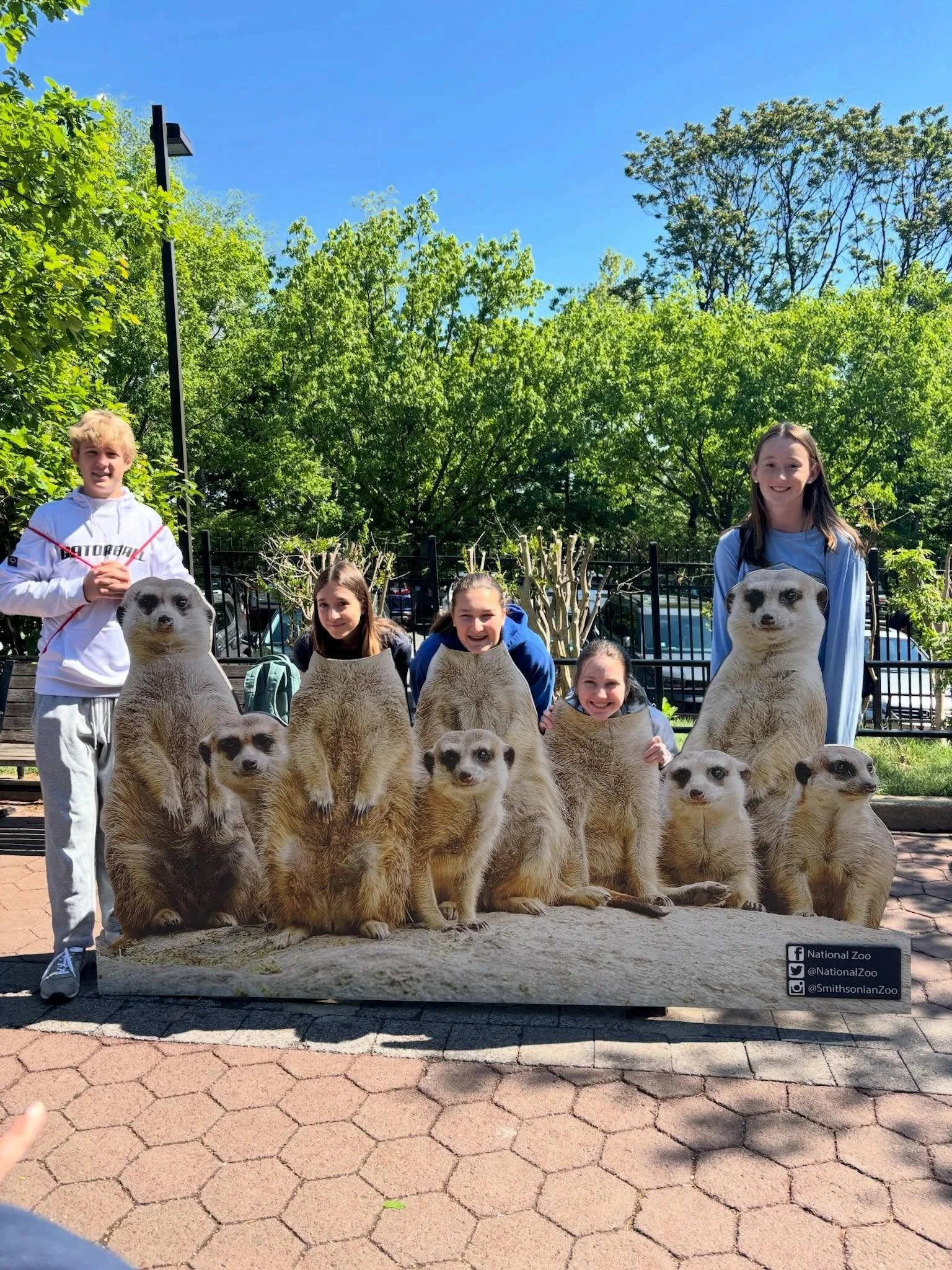 Learning came to life all across D.C. this week ✨
Pre-K and Kindergarten explored the National Mall, 6th grade discovered innovation at the National Air and Space Museum, 8th grade and their 1st &amp; 2nd grade buddies visited the zoo, and 7th grade 