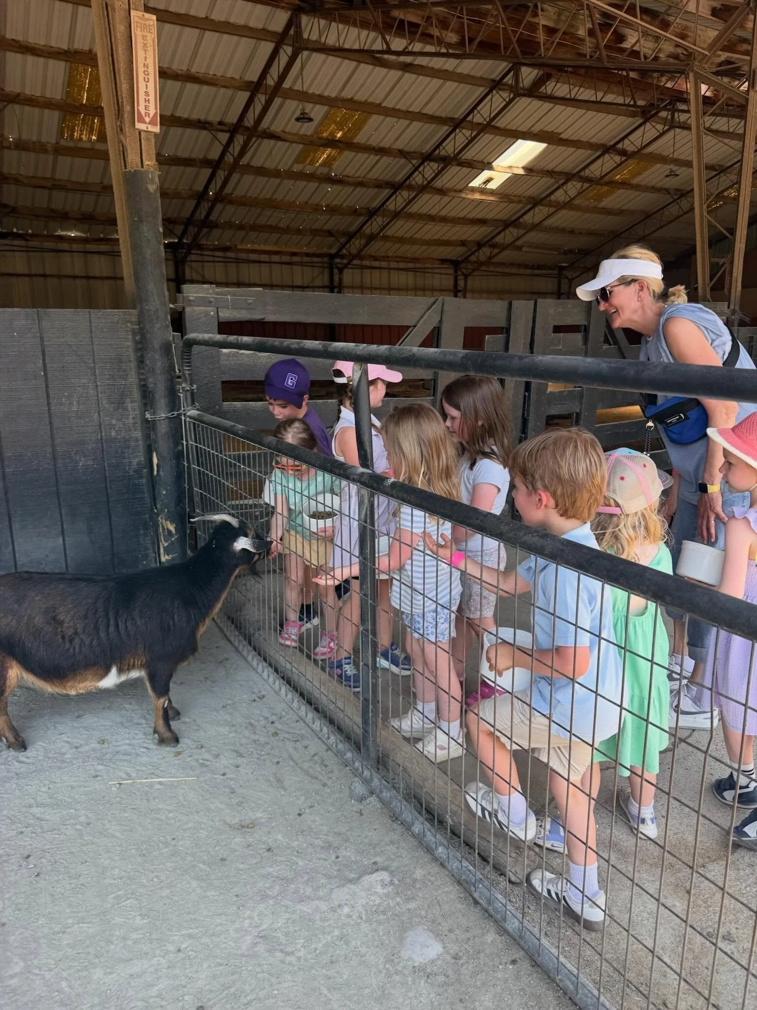 Two days, two unforgettable adventures! 🐐🚀✈️ From hands-on animal encounters at Nova Wild with Pre-K to exploring the wonders of flight and space at the Smithsonian National Air and Space Museum with 3rd grade!