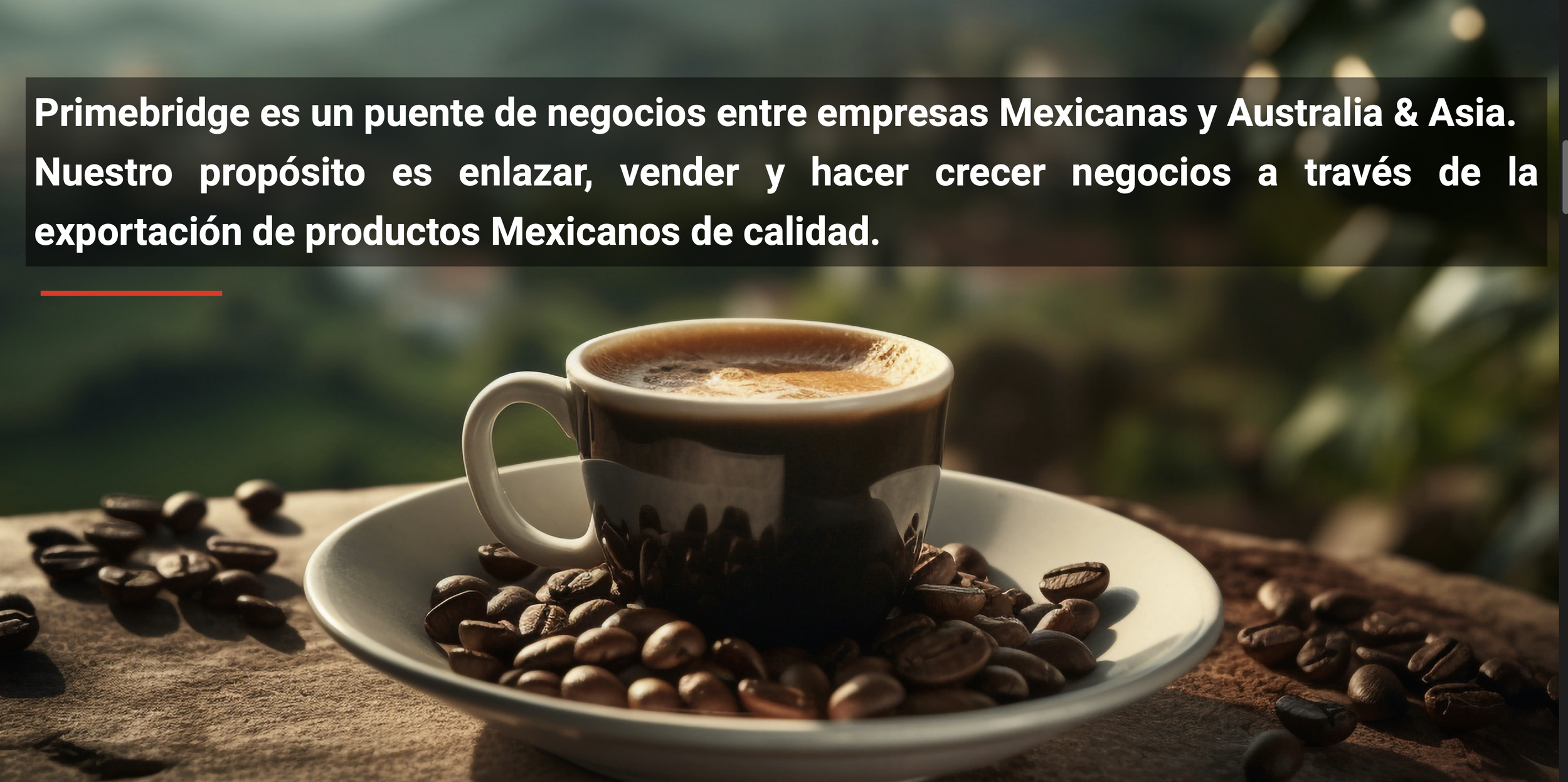 Cup of coffee on a saucer with coffee beans, accompanied by text about Primebridge's business mission.