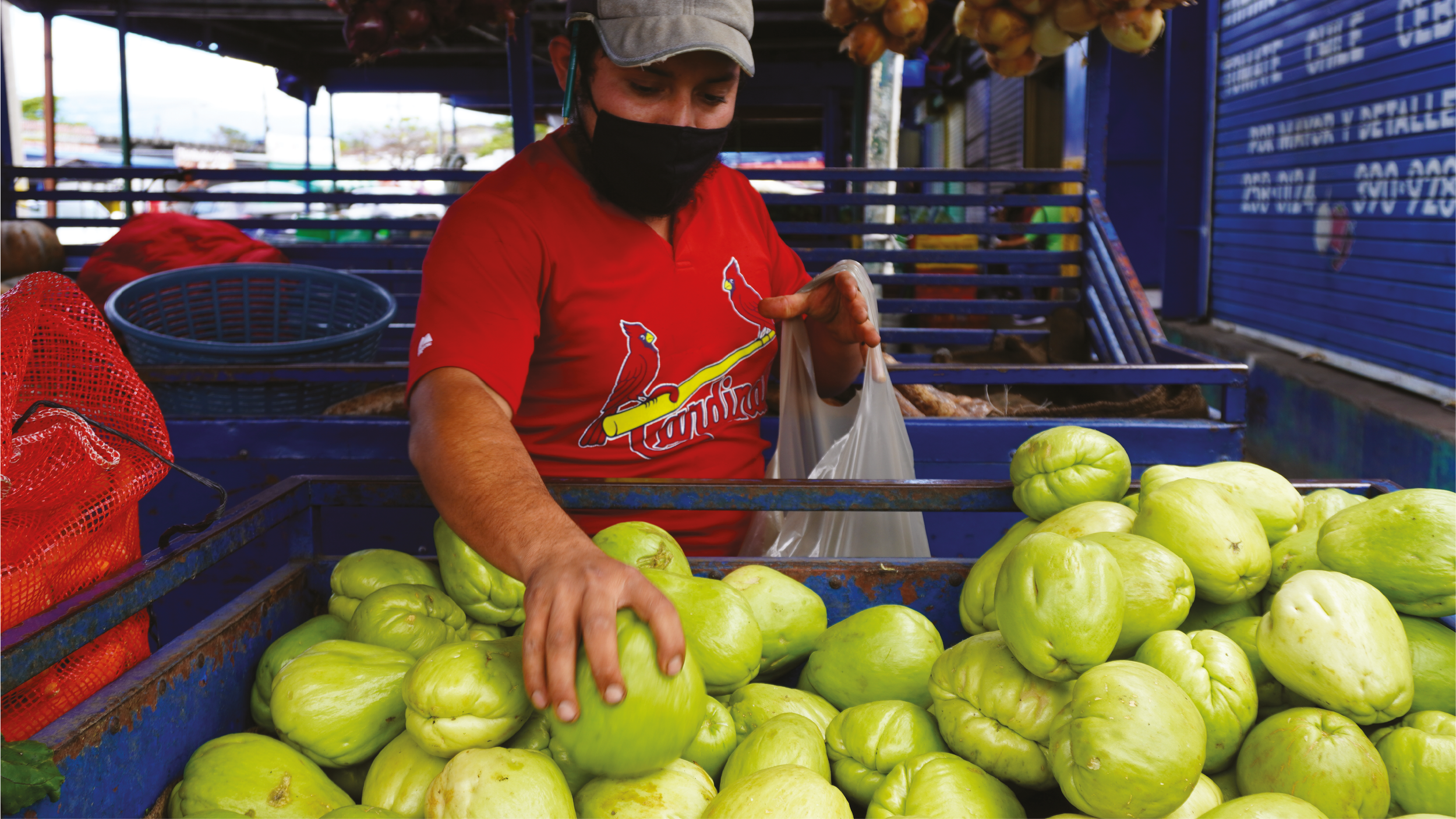 San Jose: Local Migration Governance Indicators (Local MGI)