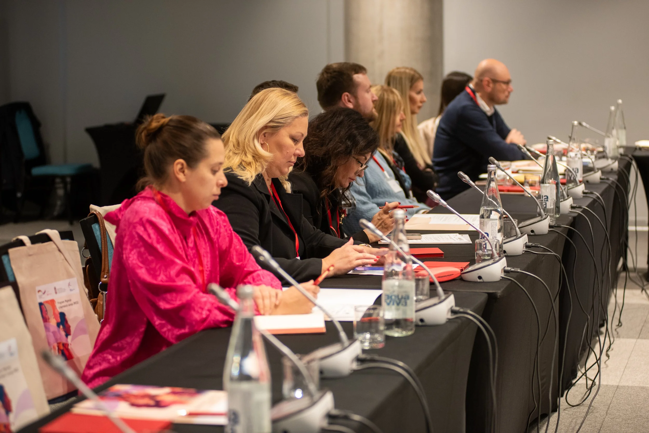 Institutionalizing Diaspora Engagement in Local Development Planning – Veliko Gradište