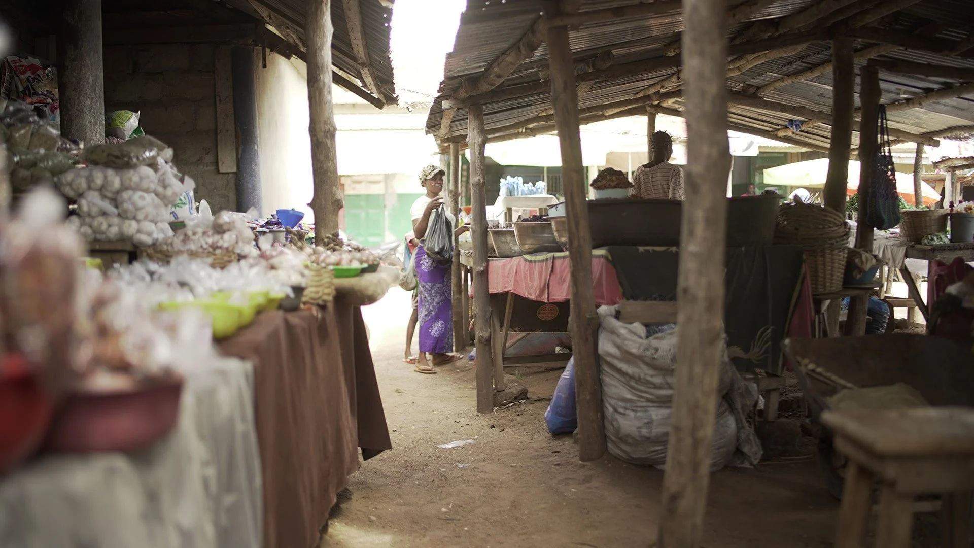 Supporting pastoralism and livestock mobility to foster social cohesion and improved biodiversity in Haho
