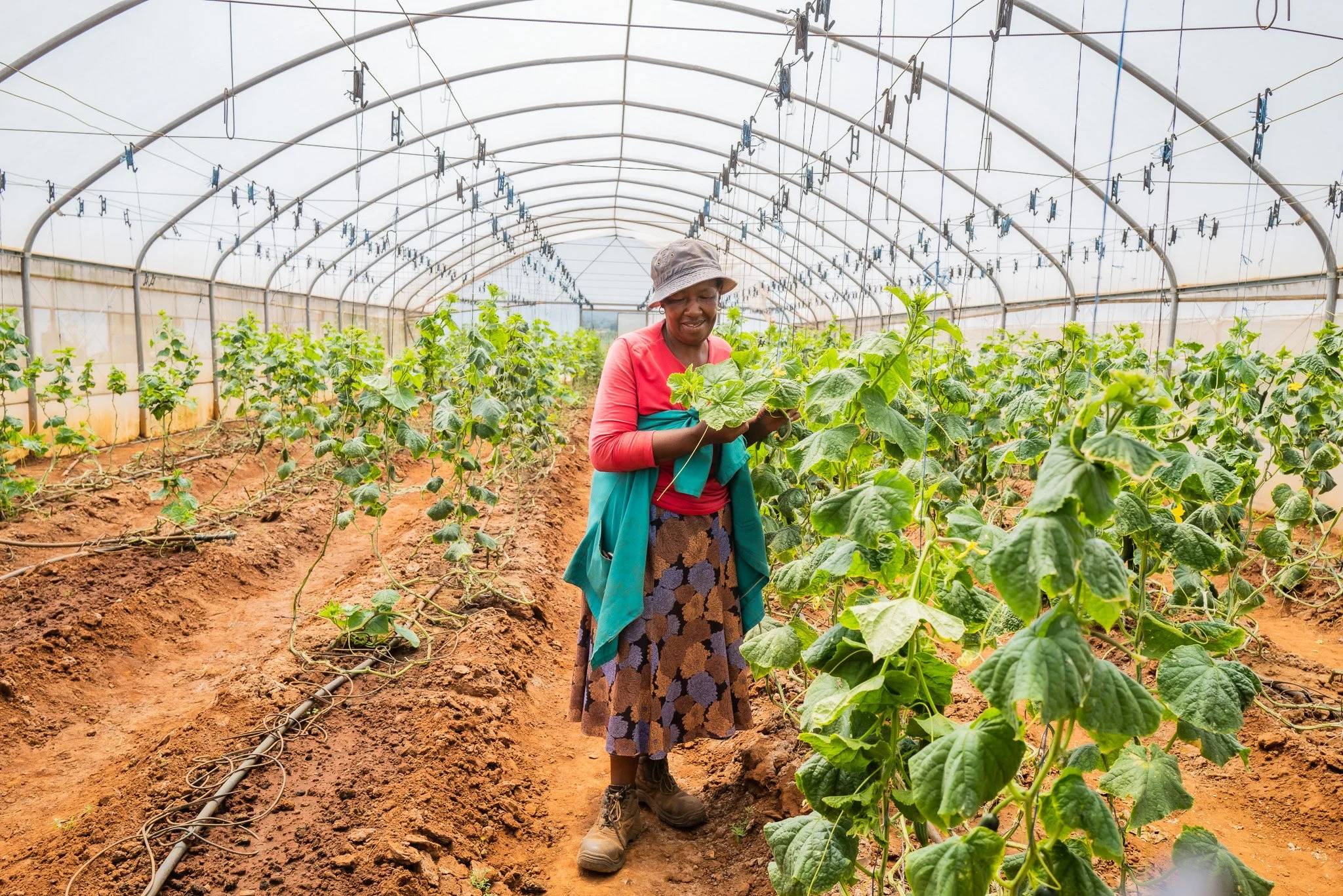 Johannesburg’s Climate Change Response for Migrants, Refugees, and IDPs