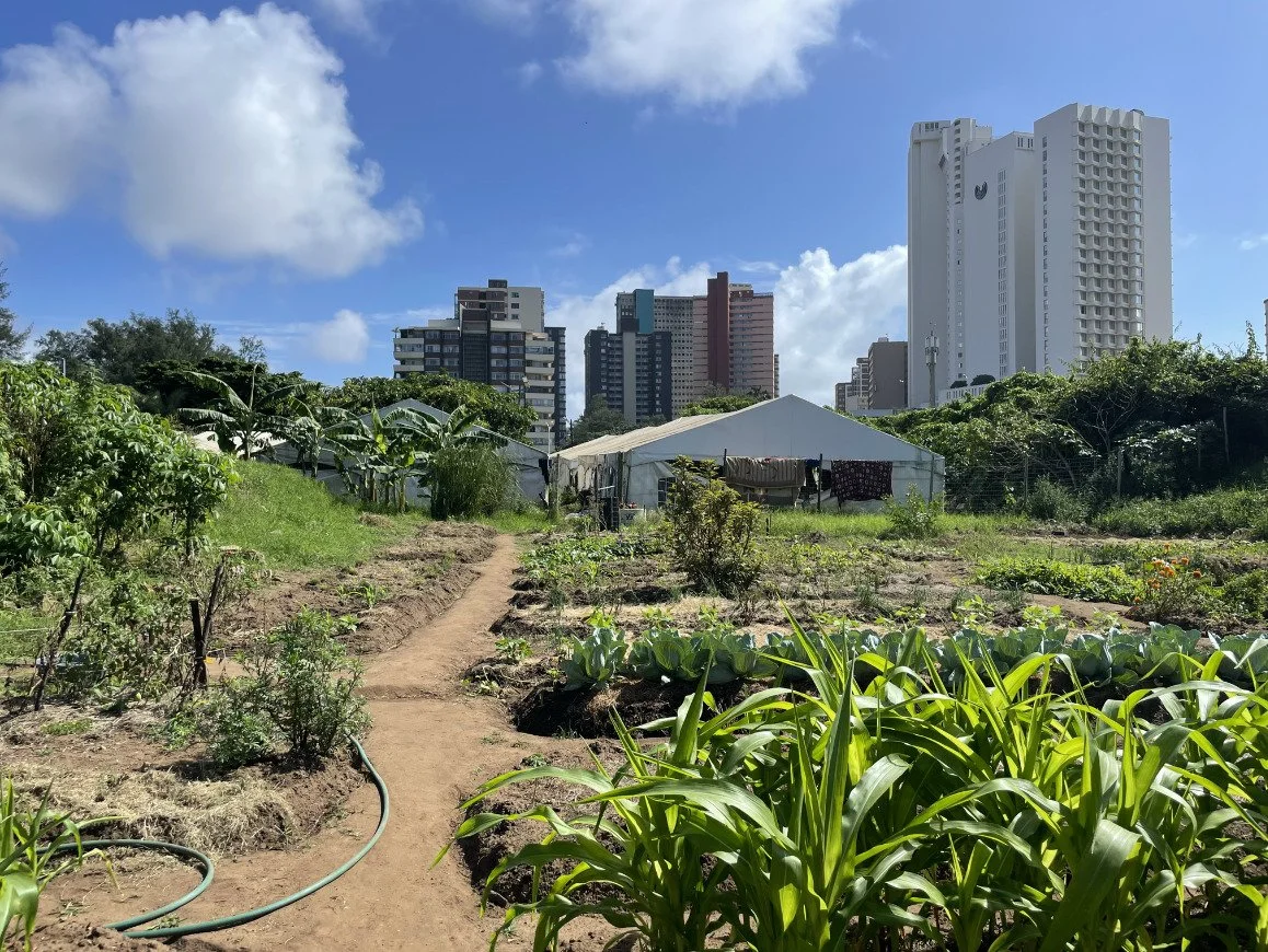 Insight-driven response to homeless migrant and displaced populations in eThekwini