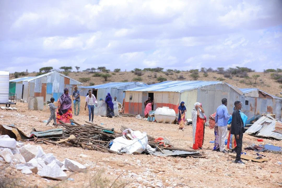 Resettlement and resilient livelihoods for Daami IDPs in Hargeisa City