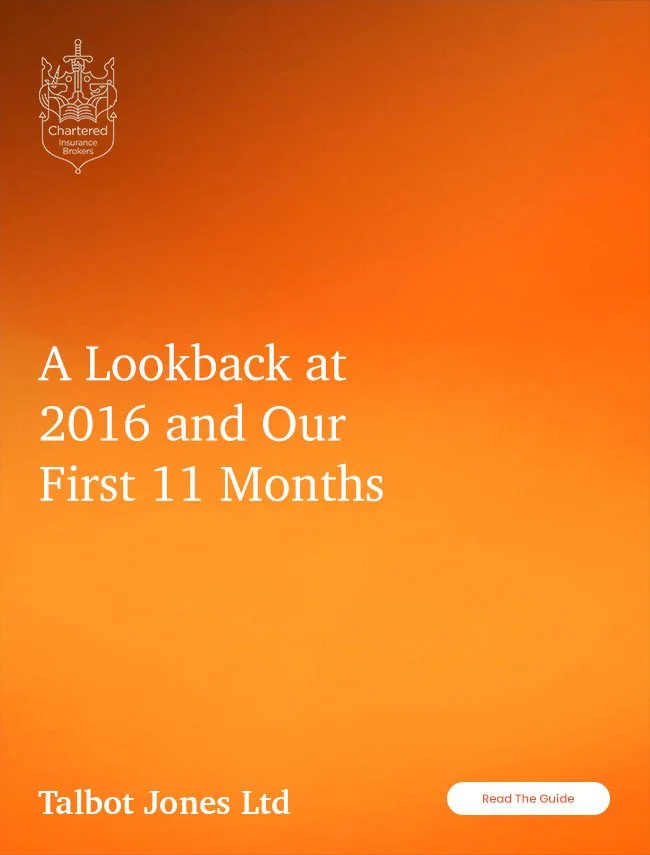 A Lookback at 2016 and Our First 11 Months