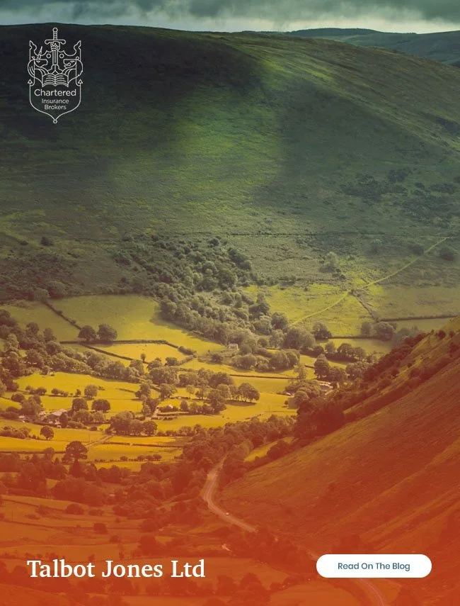 On the Road in Wales: Reflection, Community, and What Guides Our Work