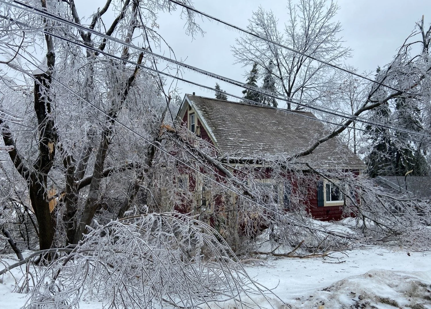 Living Smarter in a Changing Climate was a very deliberately chosen theme for 2025 Muskoka Summit on the Environment.