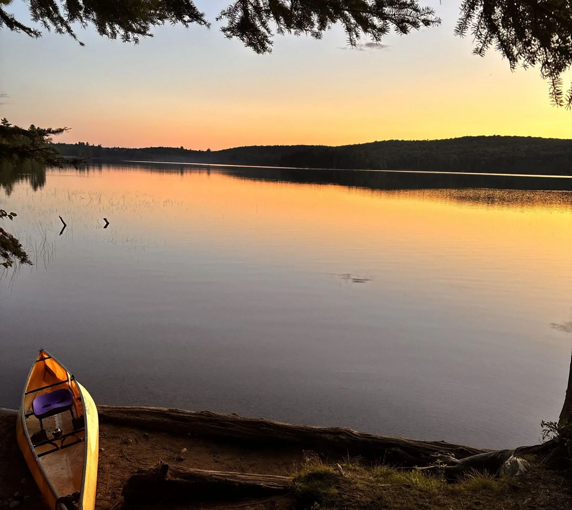 How Nature Generates Passive Income In Muskoka And Beyond