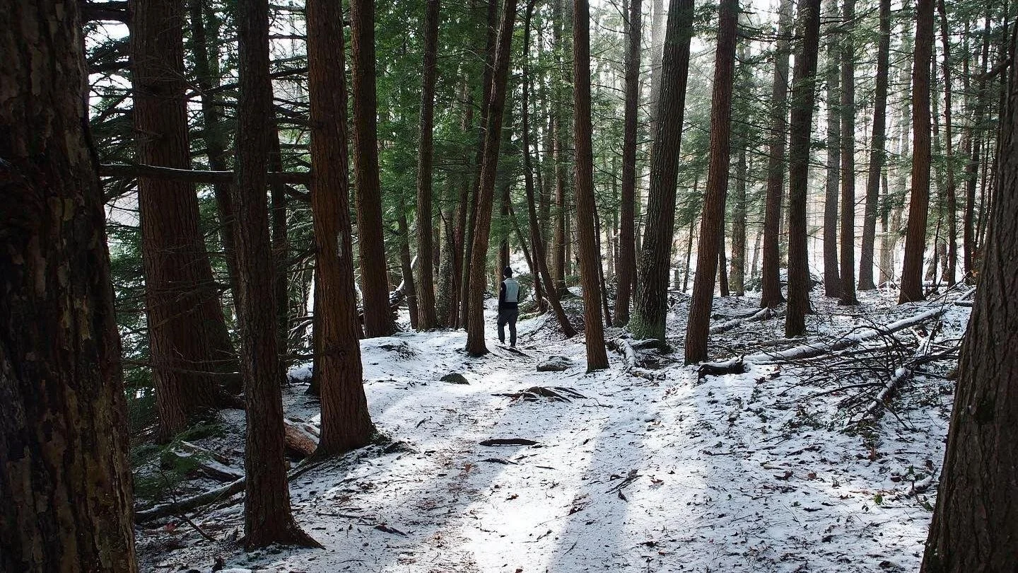 Living smarter, nurturing our Muskoka watershed