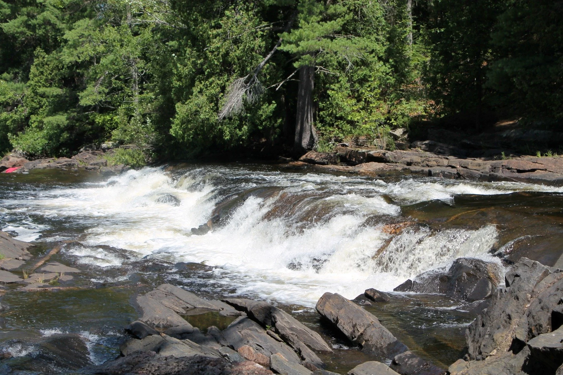 Why does Muskoka need better environmental management now?