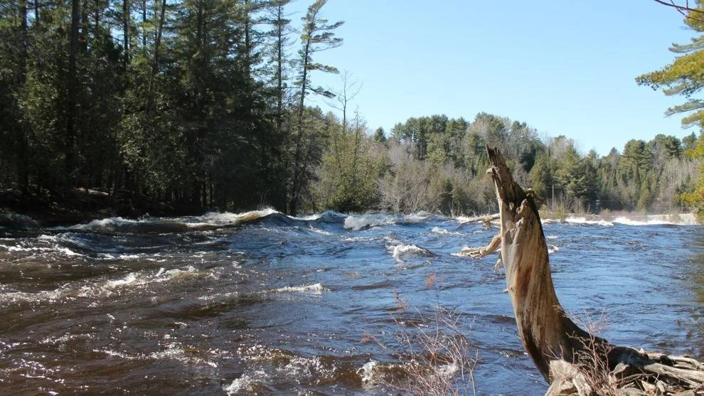 Managing for ecological resilience in Muskoka