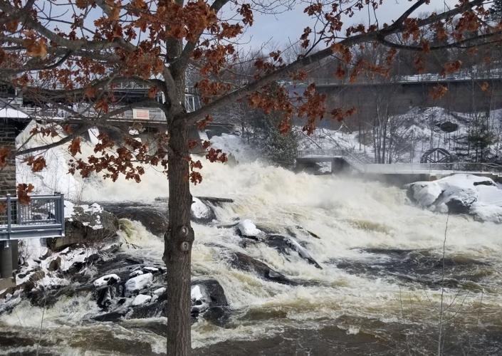 Everything is connected: Why watershed thinking matters across Muskoka