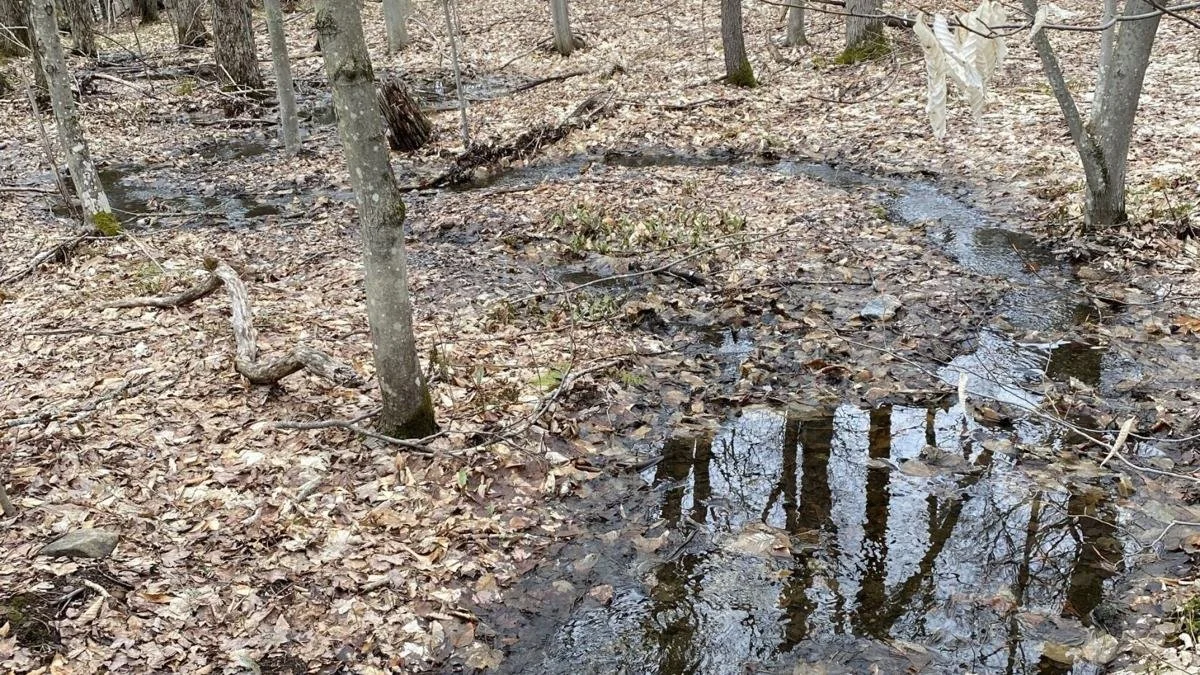 What causes flooding in Muskoka? The factors behind Ontario’s ‘spring struggle’