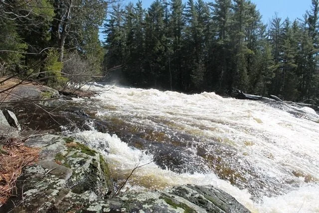 Why reviewing the current water plan is an ‘utter waste of time’