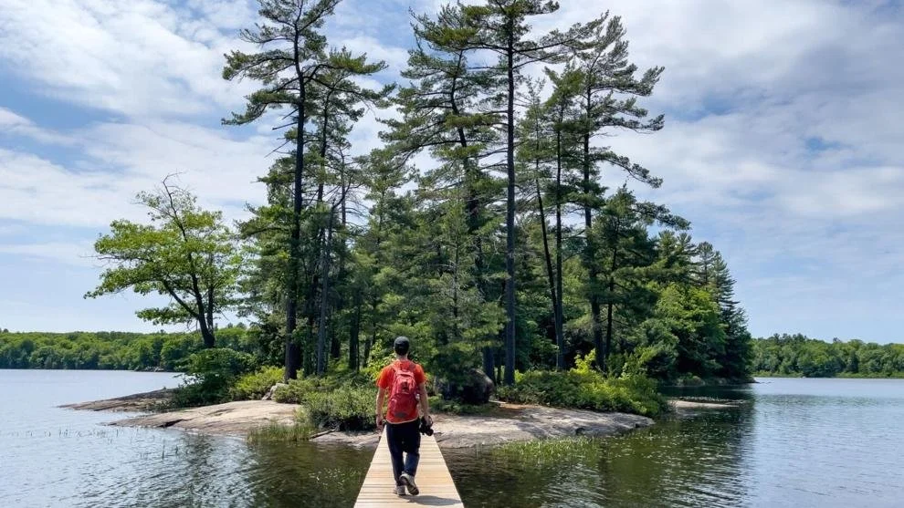 Is development winning over environment in Muskoka?