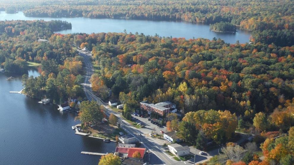 Valuing our trees: How Muskoka forests hold the key to easing floods and fires