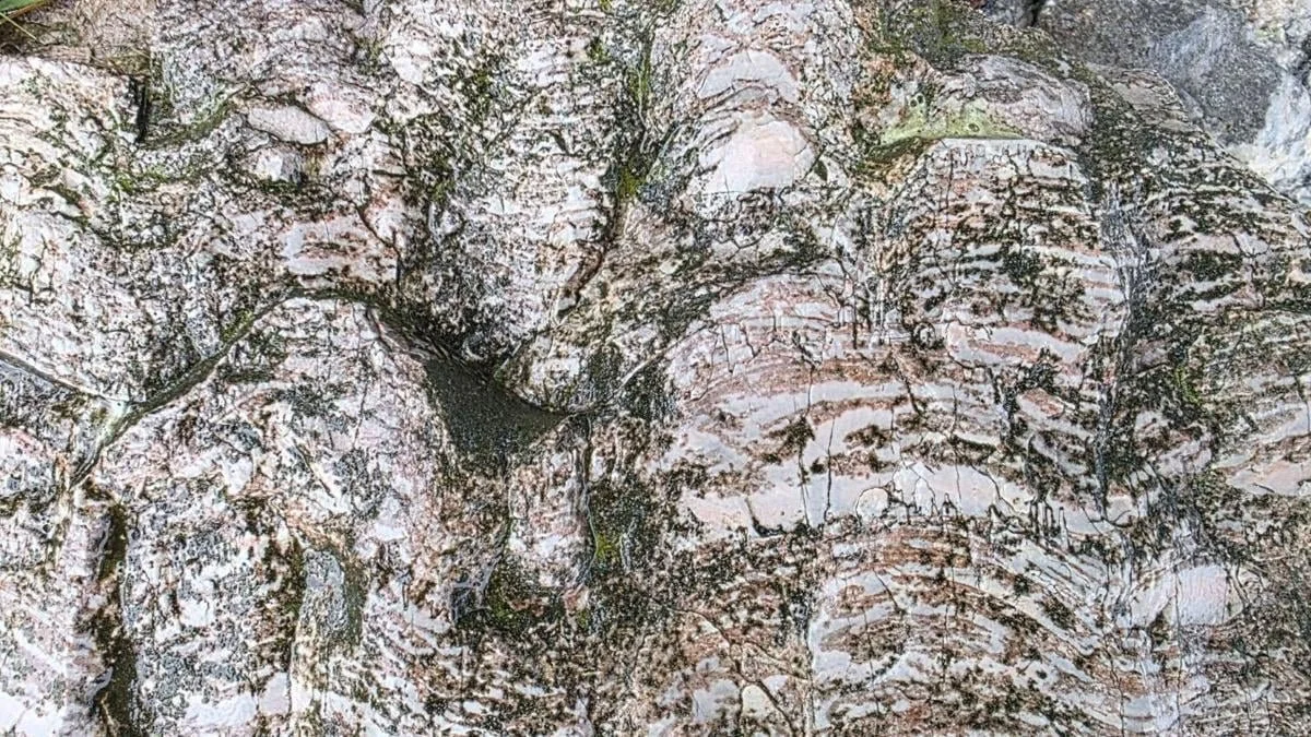 Muskoka’s geological evolution — dynamic and evolving