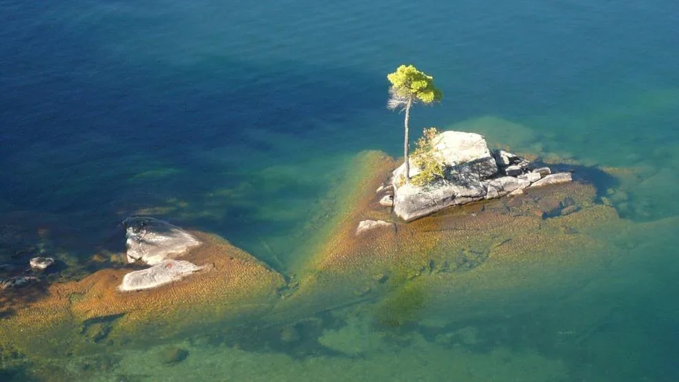 A changing climate changes the rules for Muskoka’s environment