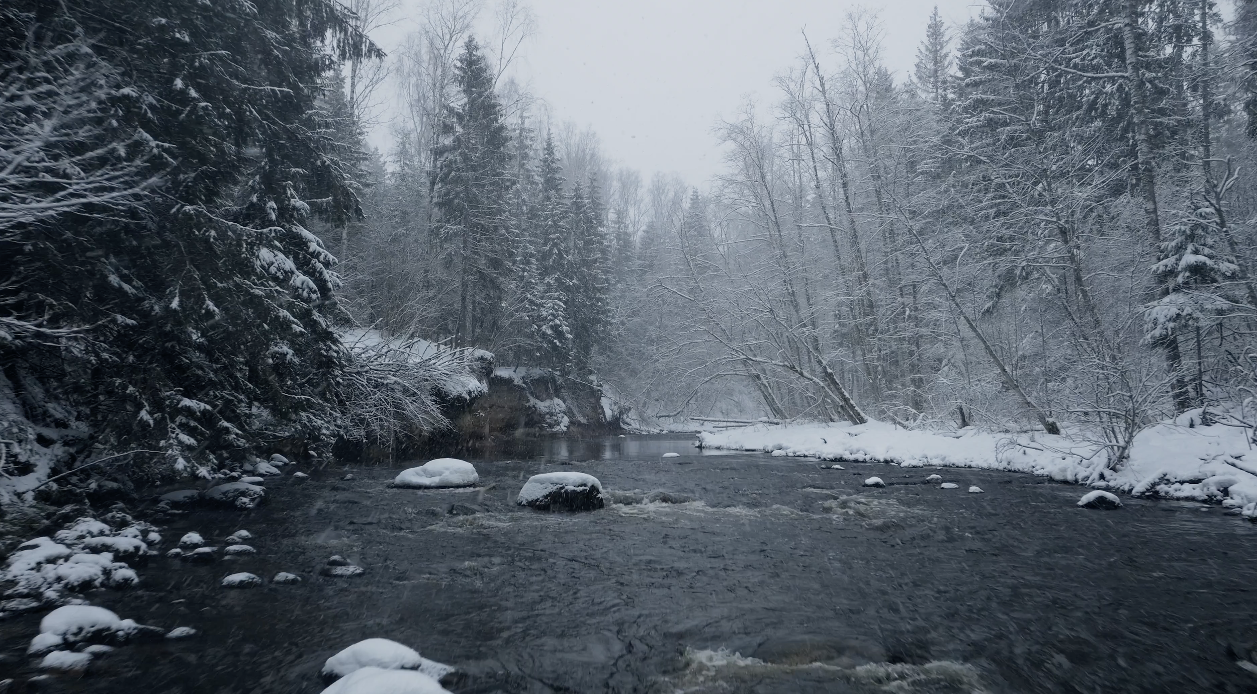 Screenshot 2025-12-27 at 12.53.02 PM.png