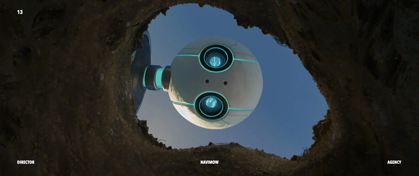 NAVIMOW TREATMENT _V4.013.jpeg