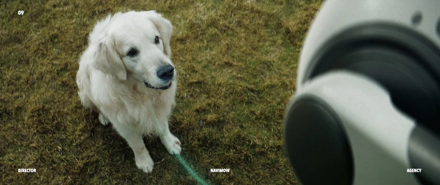 NAVIMOW TREATMENT _V4.009.jpeg