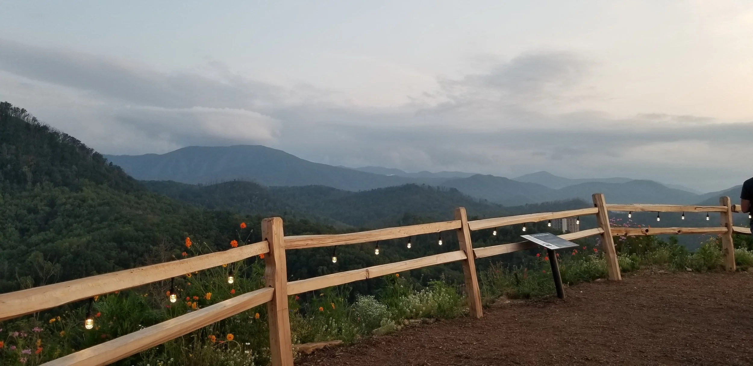 20190810_202939.jpg