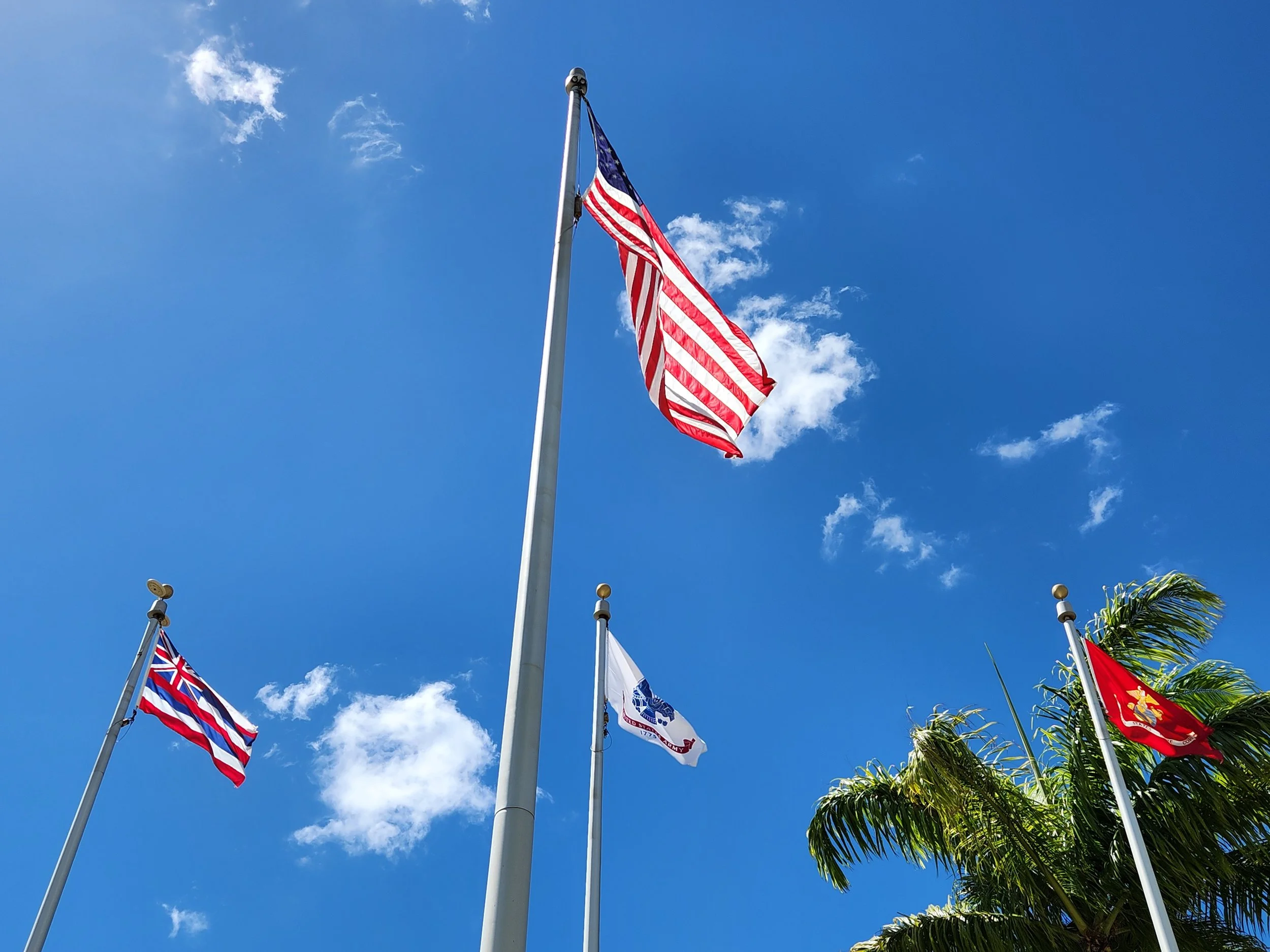 🎁 The Gift of Adventure: Why 2026 Is the Year to See America — Together