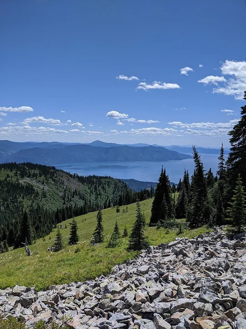 Lake Pend Oreille View with Pine Trees on a Slope
