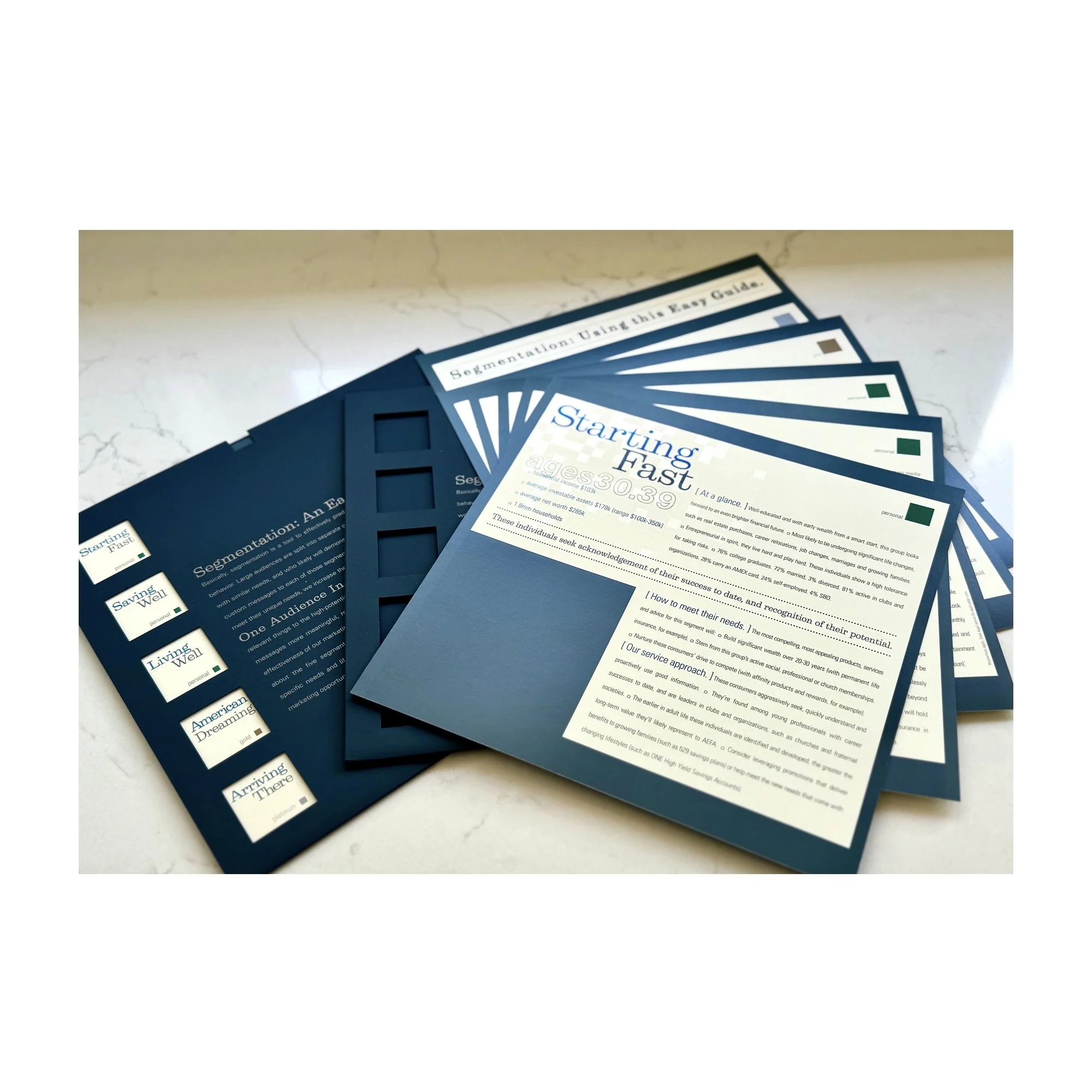 An image of AMEX segmentation