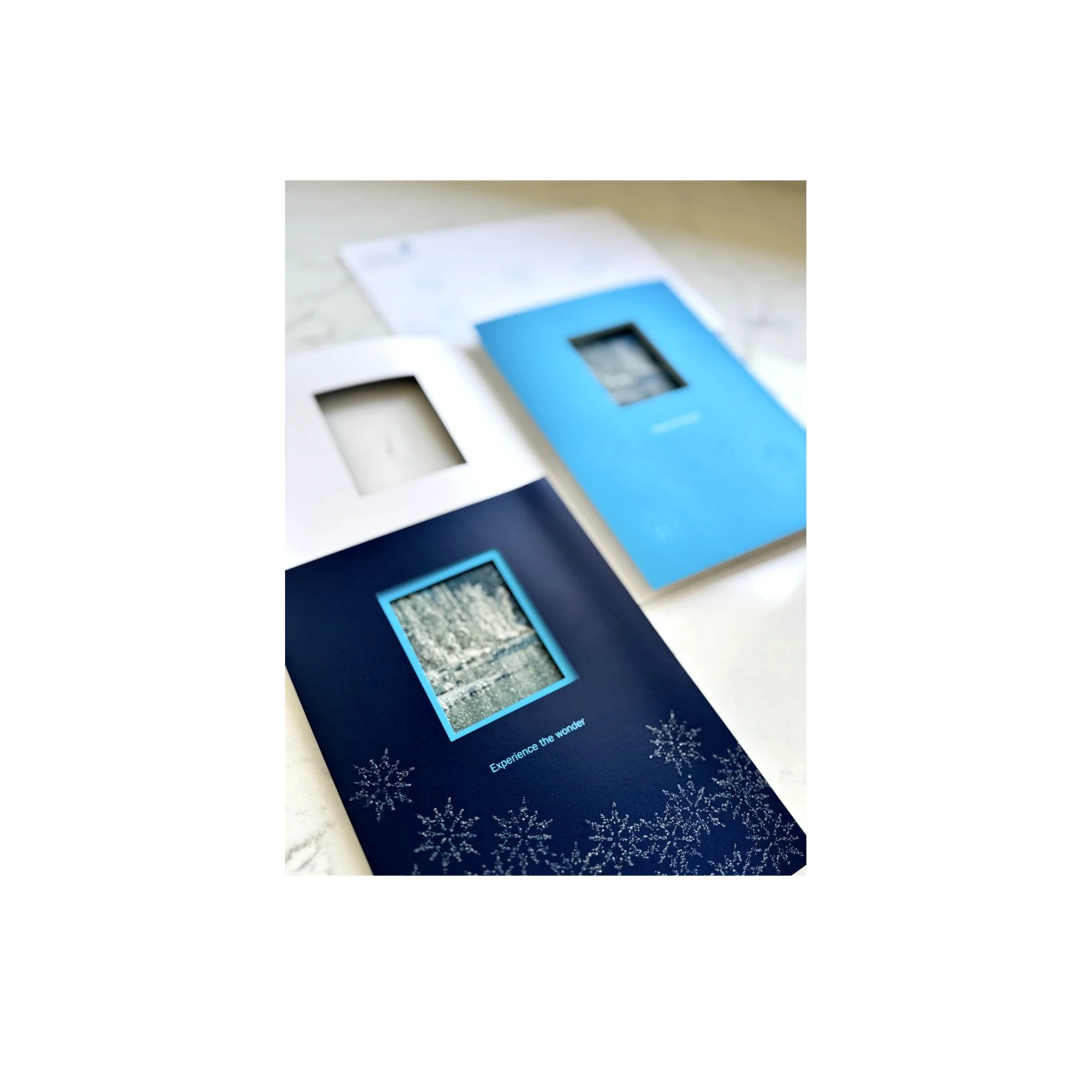 An image of the Ameriprise Financial holiday card.