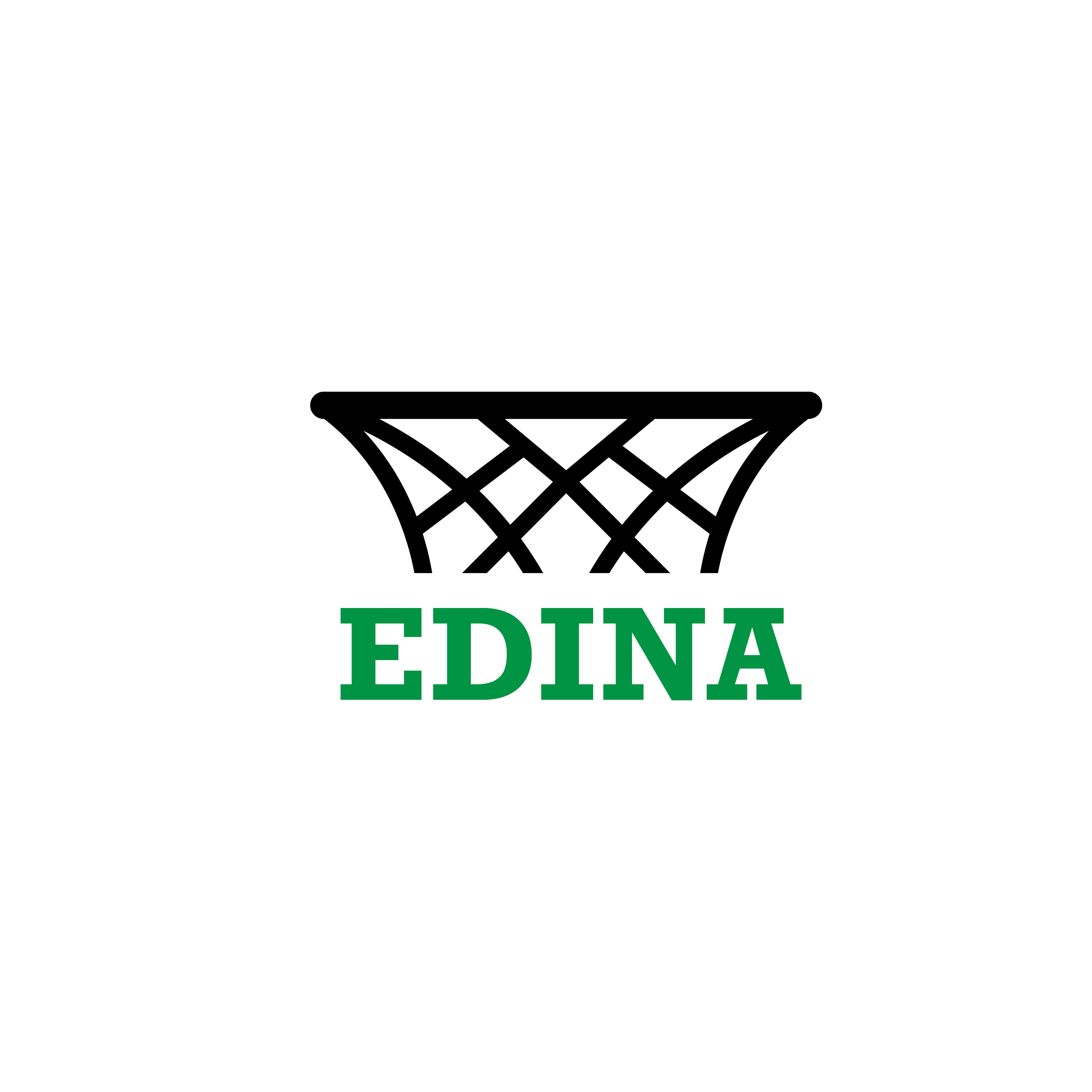 Image of Edina Hoops