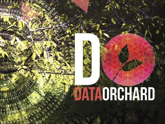Fractional CMO &amp; outsourced marketing team | Data Orchard