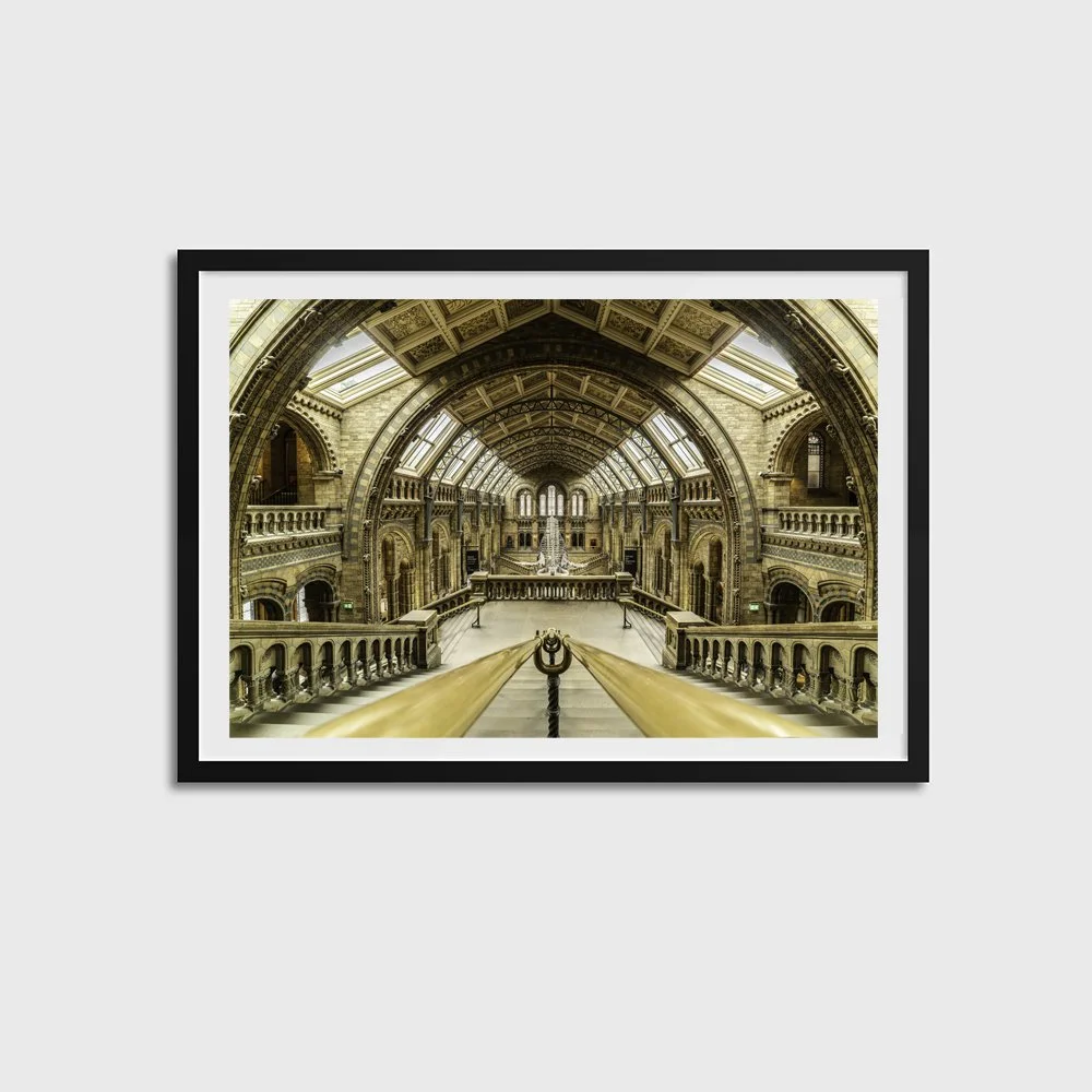 The National History Museum