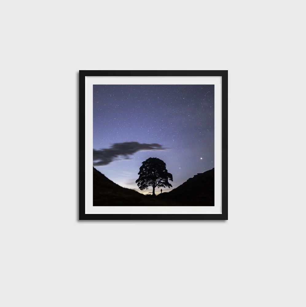 Sycamore Gap under Auriga BLACK FRAME.jpg