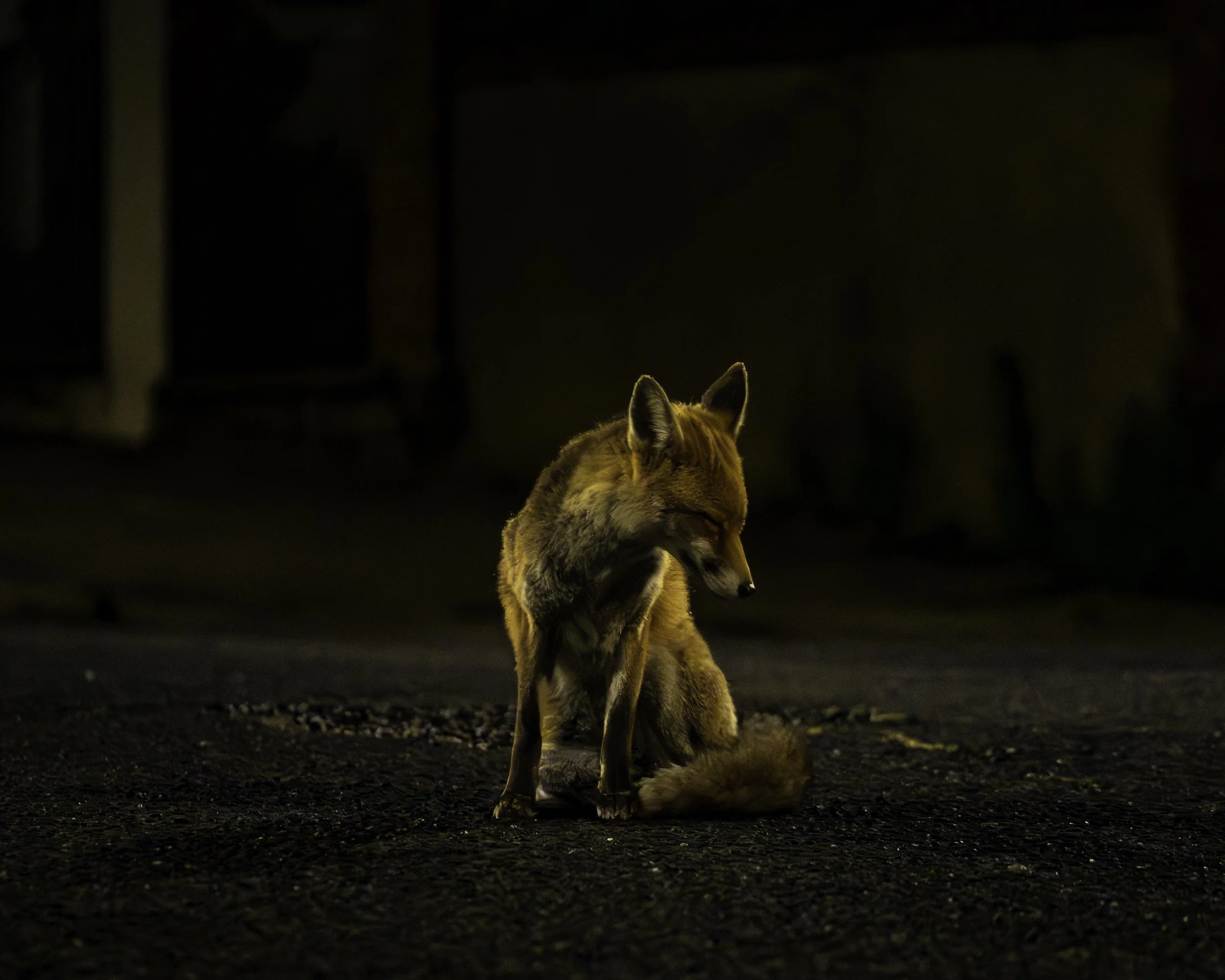 Spitalfields Art Market