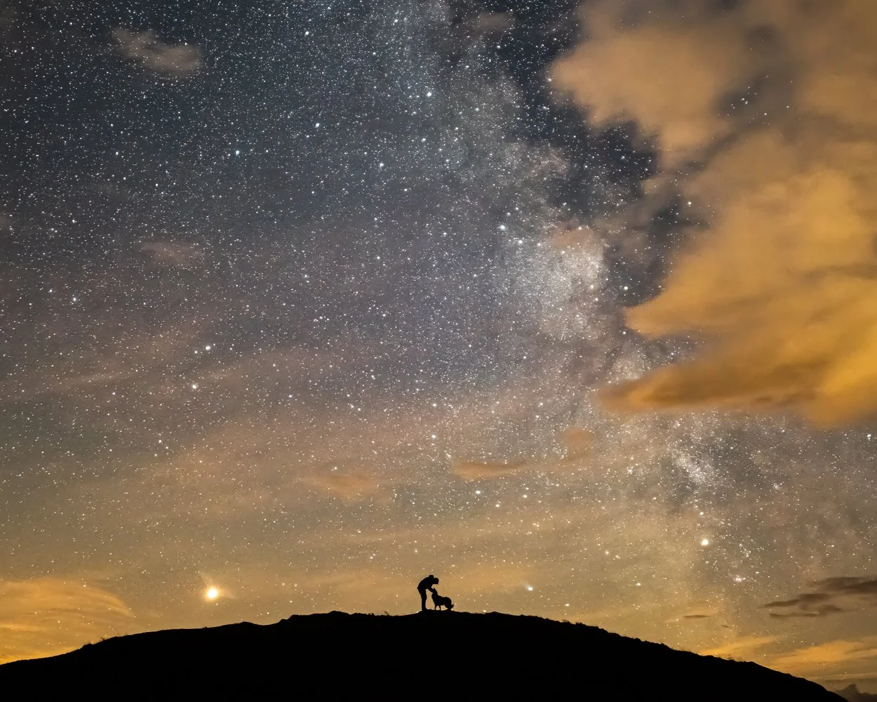 Prom Art - Grange over Sands 