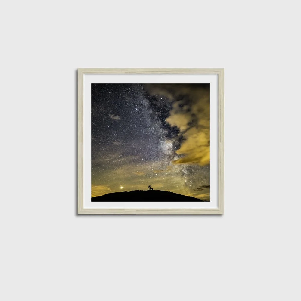 Ben, Floyd & the Core SQUARE-OAK FRAME.jpg