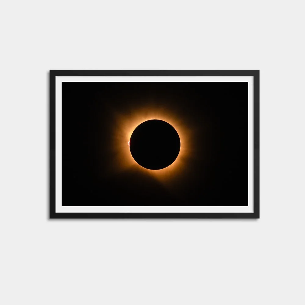 The Outer Corona & Prominences