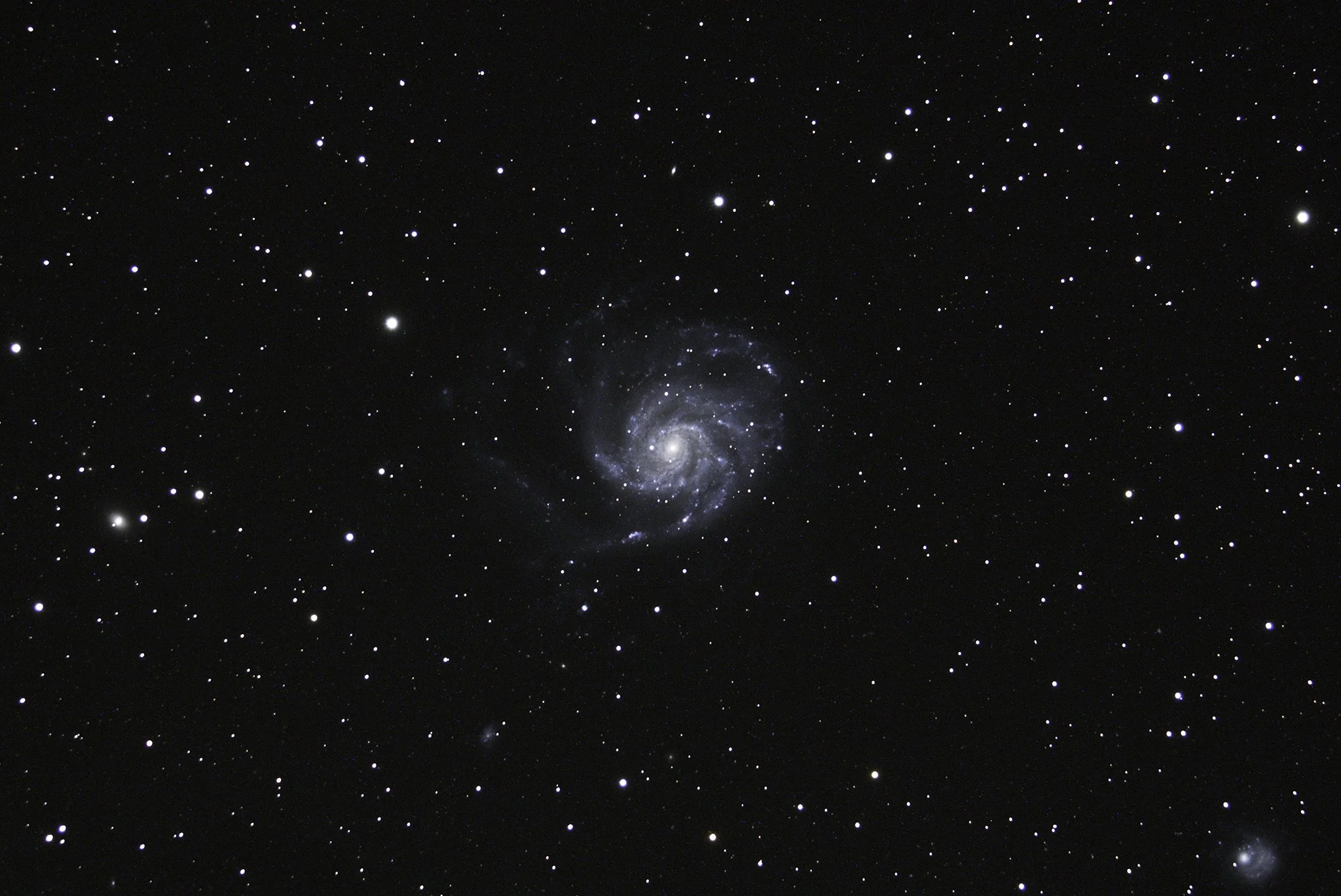 Pinwheel Xmas Eve 2021.jpg