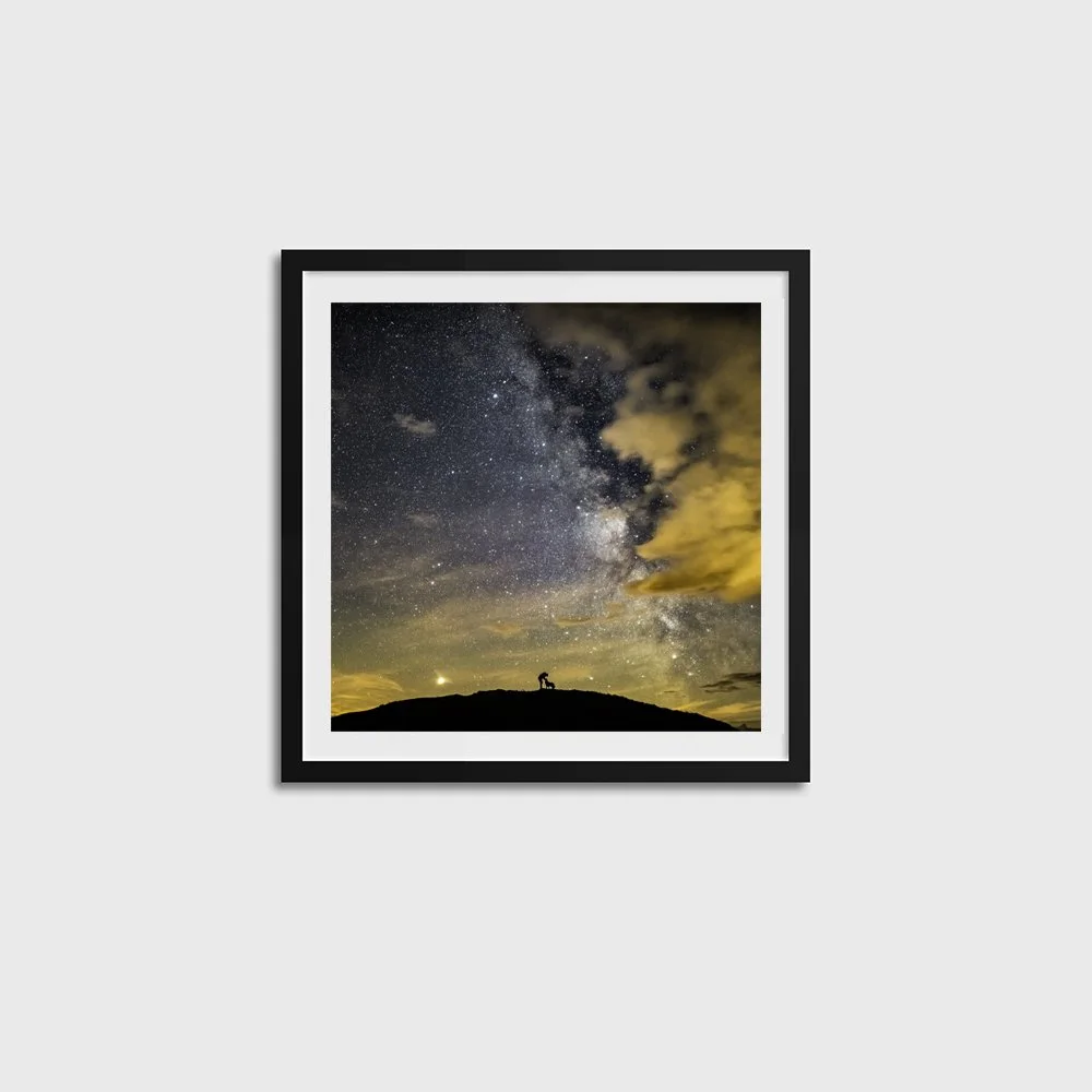 Ben, Floyd & the Core SQUARE