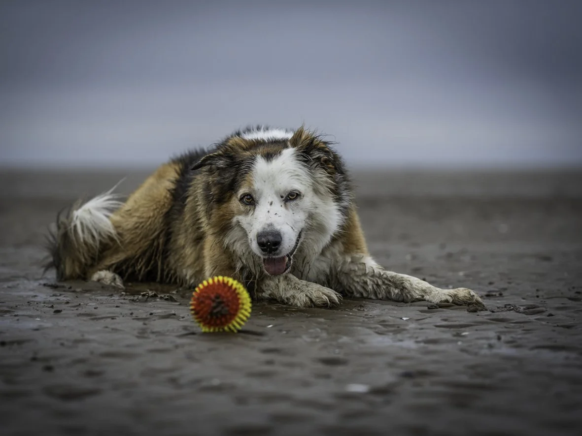 Floyd Ball Beckfoot 4x3.jpg