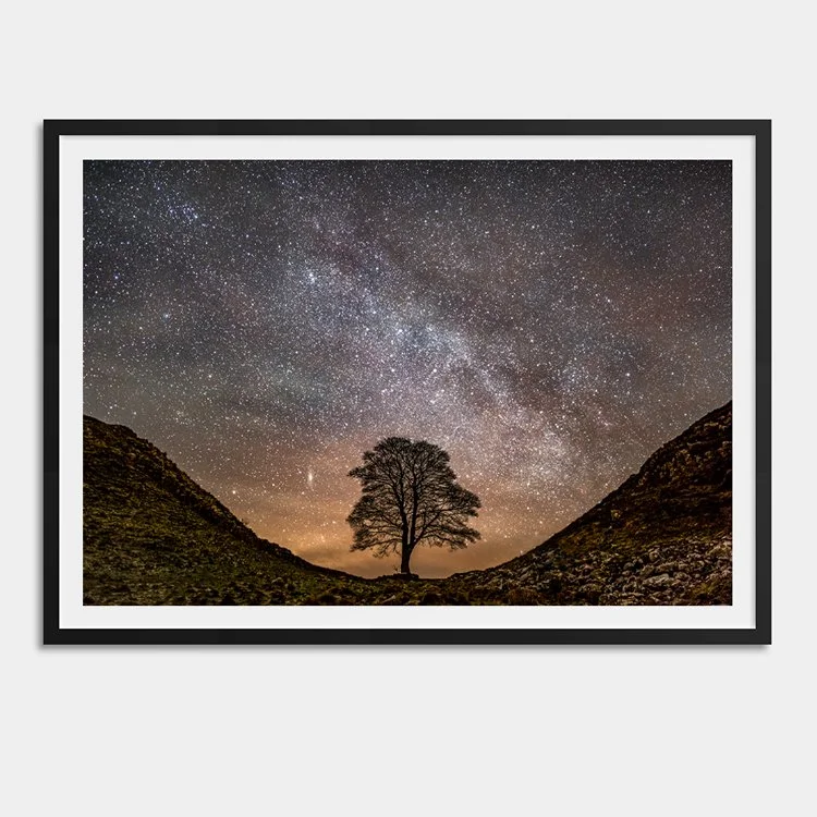 A Billion Stars over the Gap