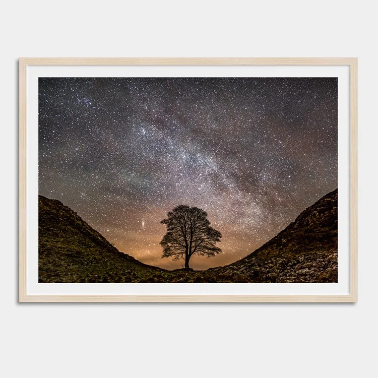 A-Billion-Stars-over-the-Gap-OAK-FRAME.jpg