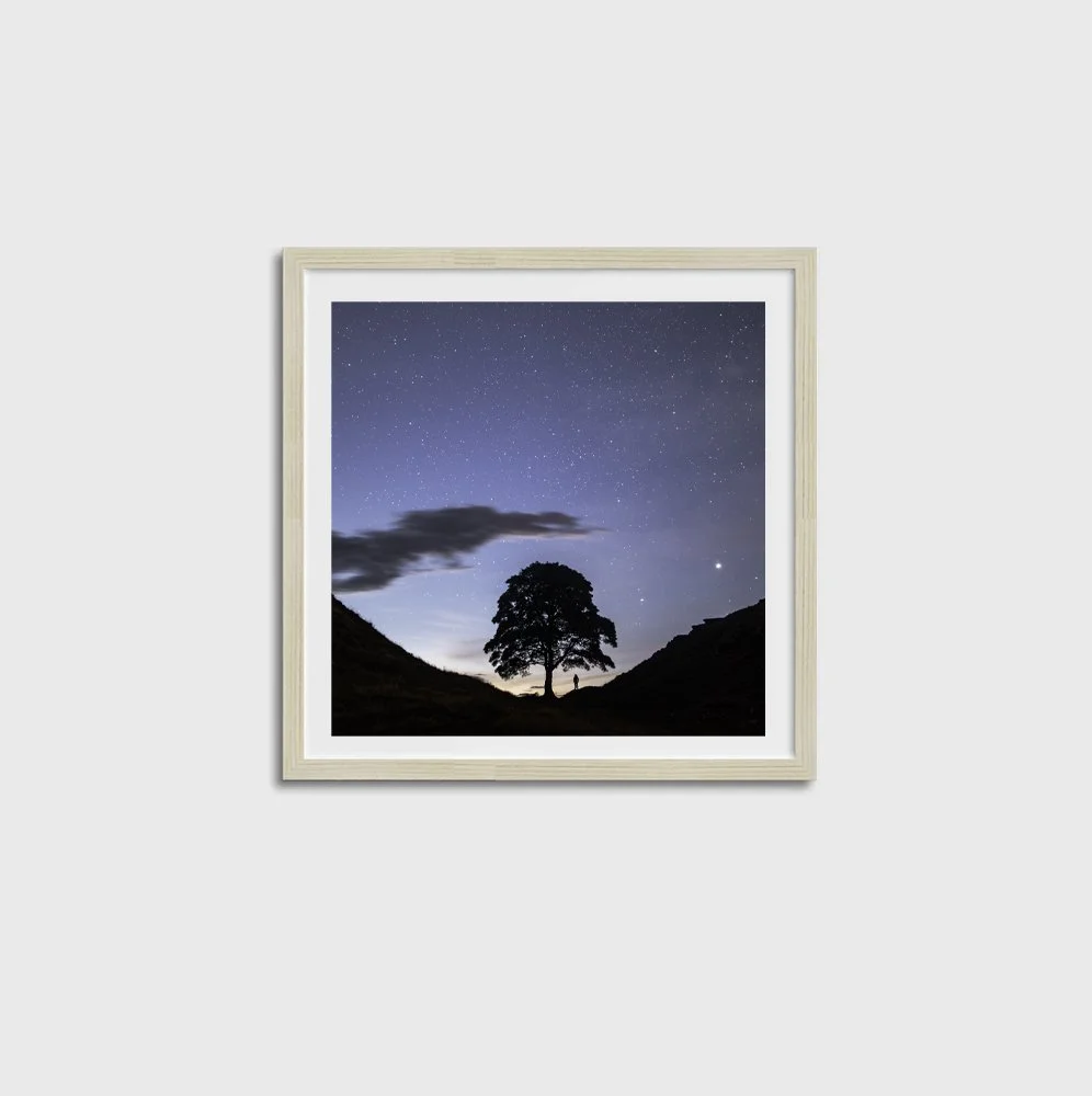 Sycamore Gap under Auriga SQUARE-OAK FRAME.jpg