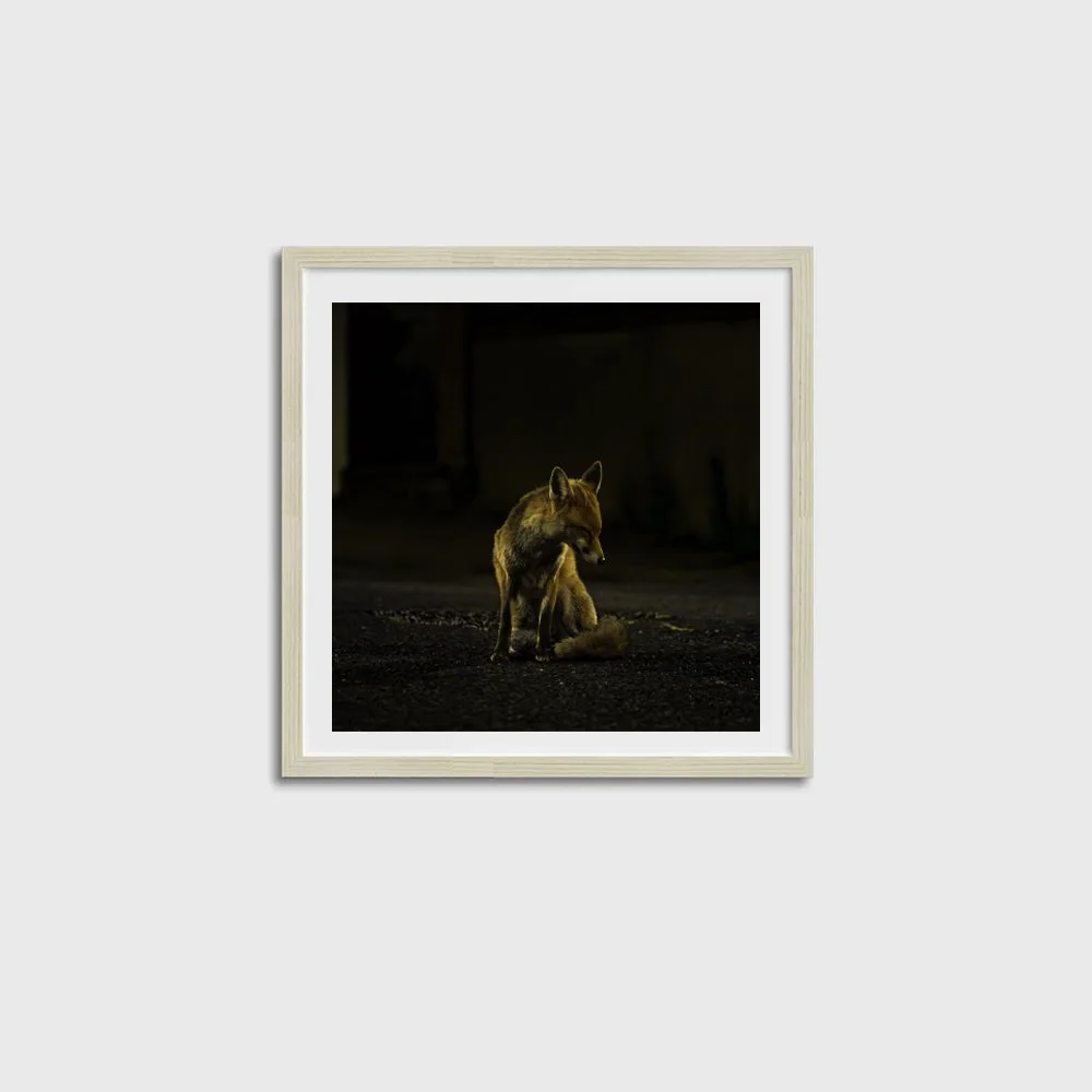 Hackney Fox SQUARE-OAK FRAME.jpg