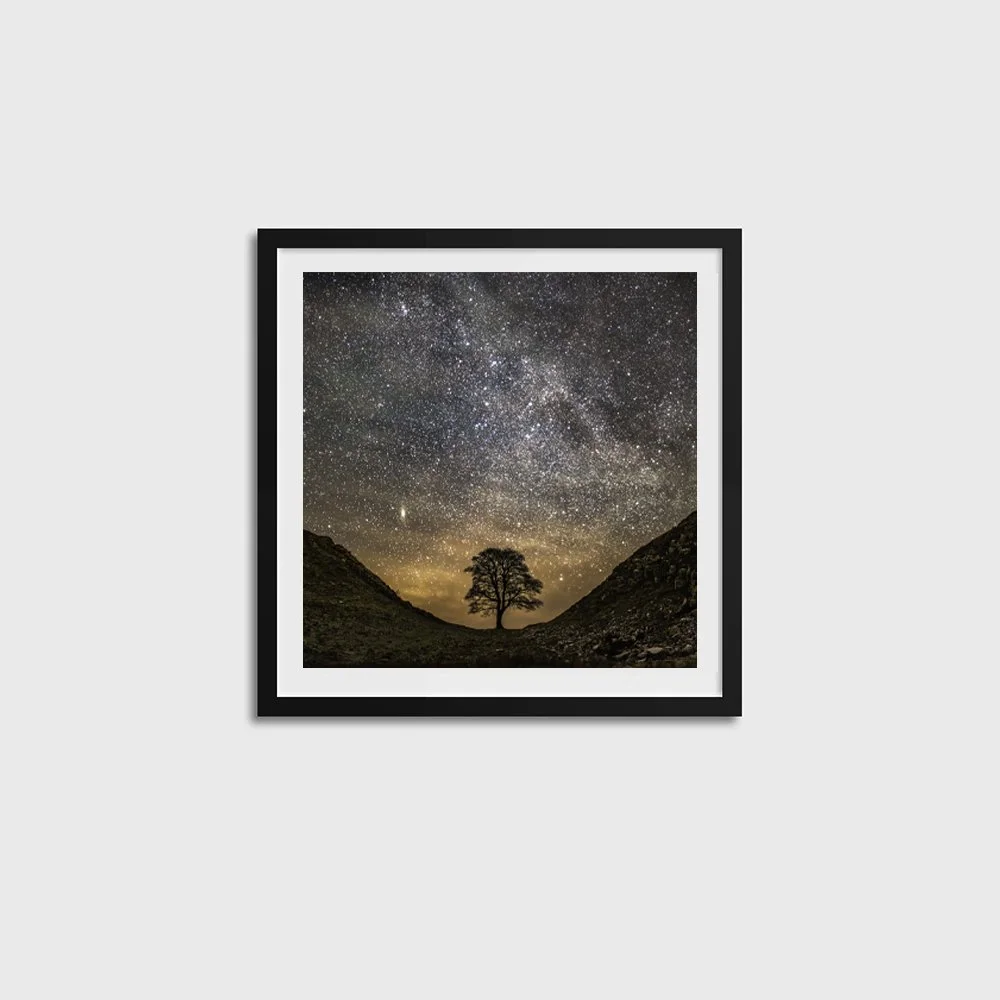 Sycamore Gap Starscape SQUARE