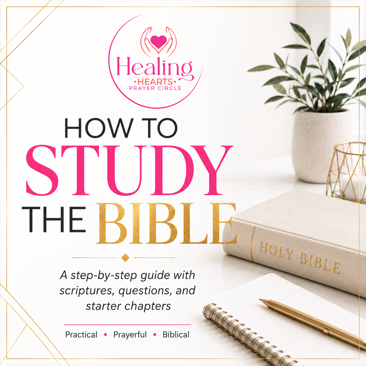 How to Study the Bible: A Simple Guide to Start or Reengage with Scripture