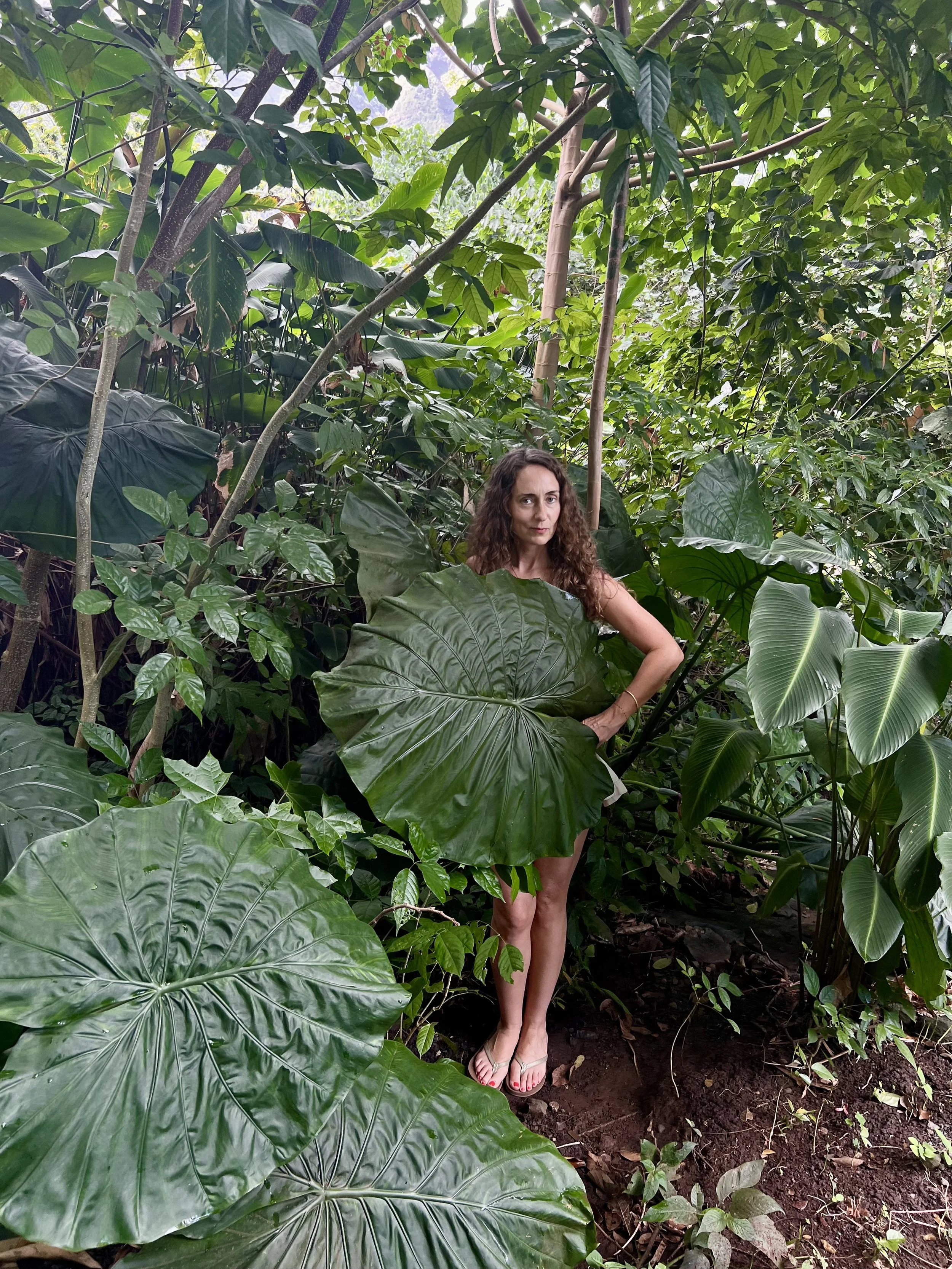A woman standing amidst large lush green tropical leaves and plants in a dense jungle or rainforest.