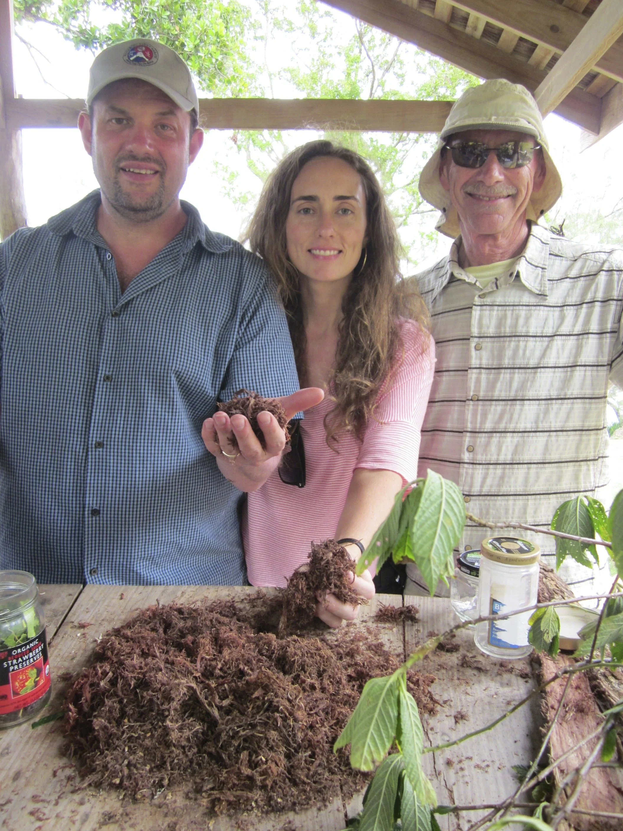 Dr. Zampieron, Dr. Costello, Dr. Lipelt - Jamaica